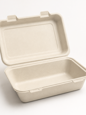 Open rectangular natural bagasse lunch clamshell box