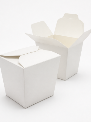 White square paperboard noodle takeaway box